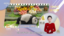爱的课程